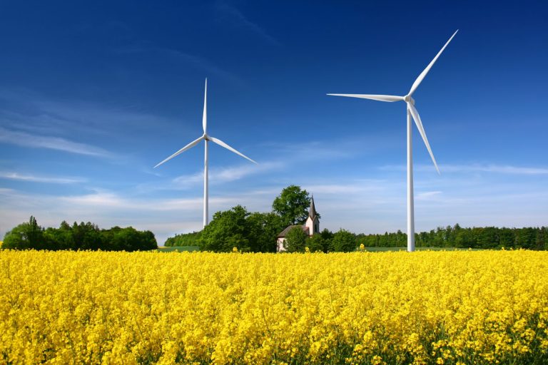 Windräder stehen neben einem blühenden Rapsfeld unter klarem Himmel.