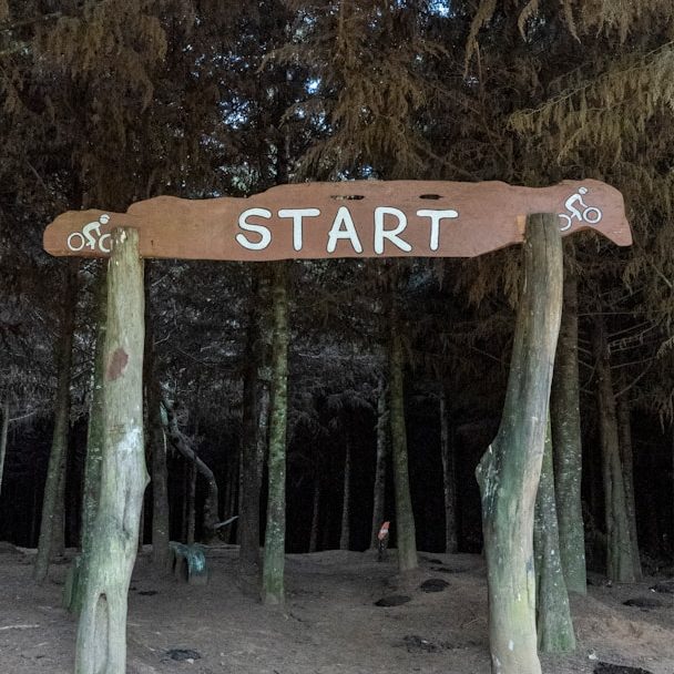 Holzschild mit der Aufschrift „START“, aufgestellt zwischen Bäumen im Wald.