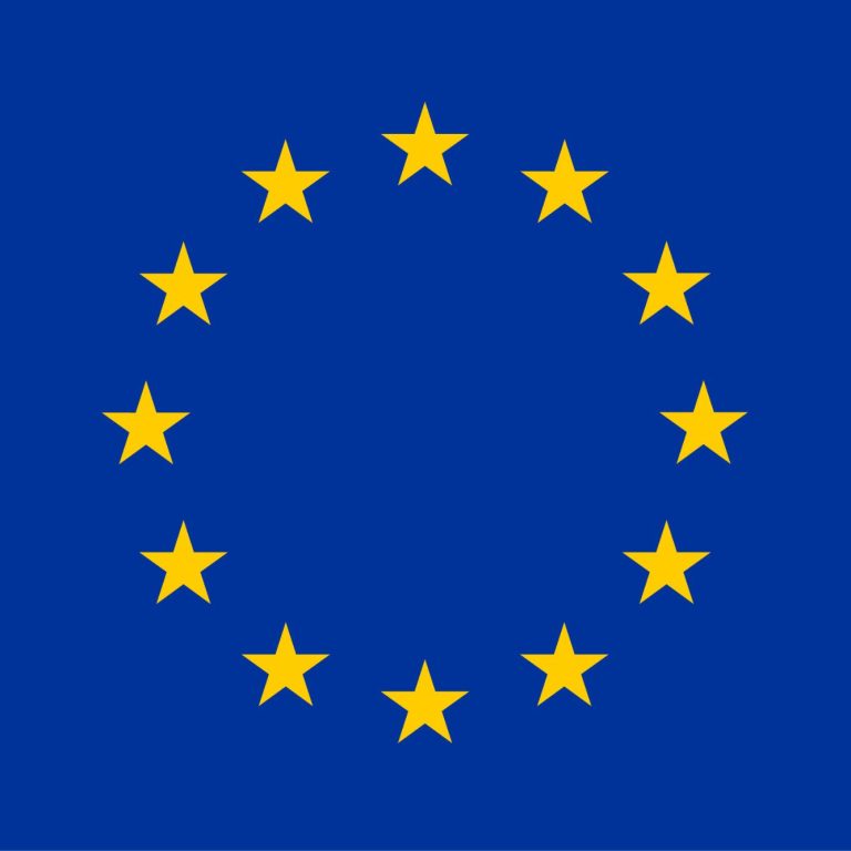 Flagge der Europäischen Union mit blauem Hintergrund und gelben Sternen im Kreis.