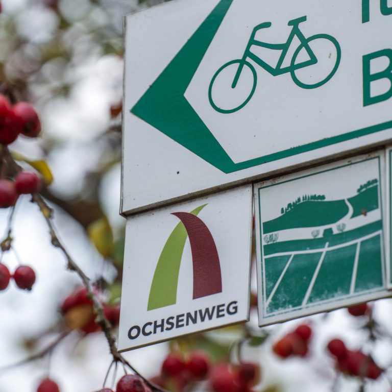 Wegweiser mit Fahrradsymbol und Logo für den Ochsensweg, umgeben von Obstbäumen.